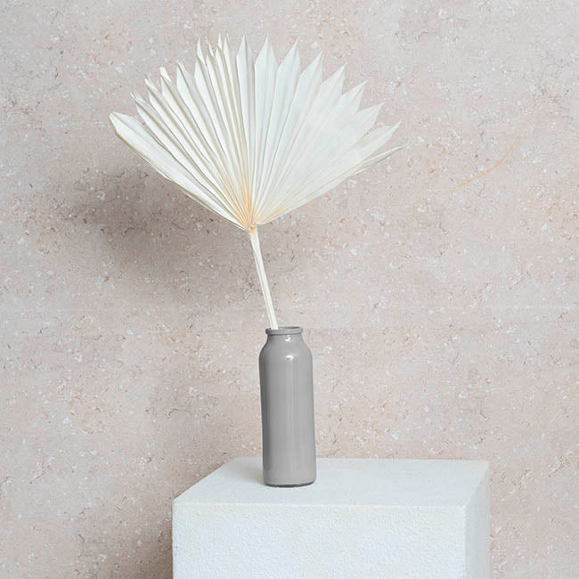 Preserved Dried Sun Cut Palm Leaf Bleach White (40-45cmH)