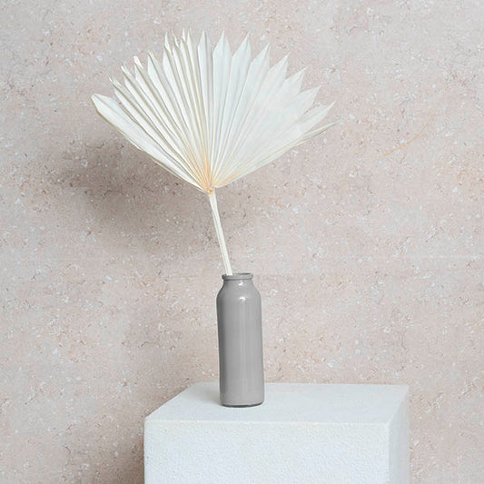 Preserved Dried Sun Cut Palm Leaf Bleach White (40-45cmH)