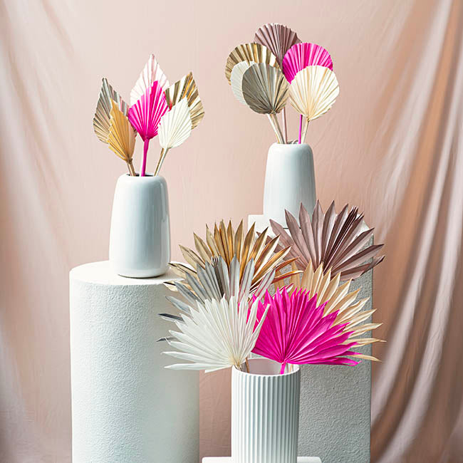 Preserved Dried Sun Cut Palm Leaf Bleach White (40-45cmH)