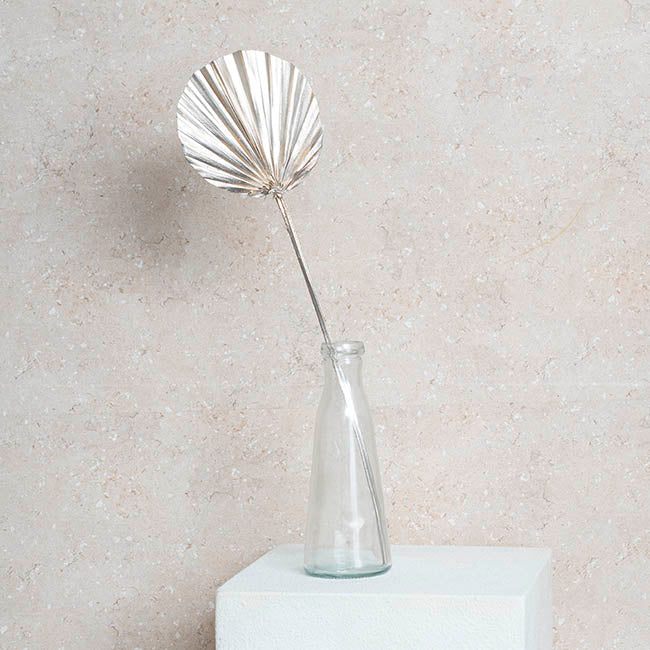 Preserved Dried Round Cut Palm Leaf Champagne (40-45cmH)