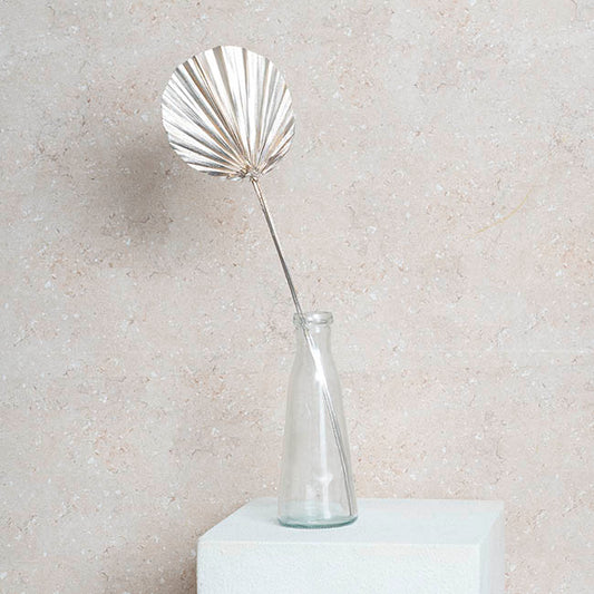 Preserved Dried Round Cut Palm Leaf Champagne (40-45cmH)