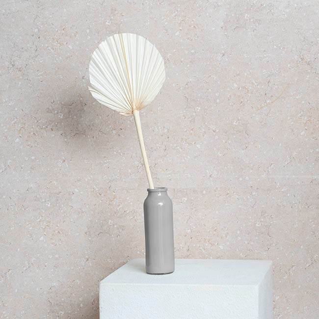 Preserved Dried Round Cut Palm Leaf Bleach White (40-45cmH)