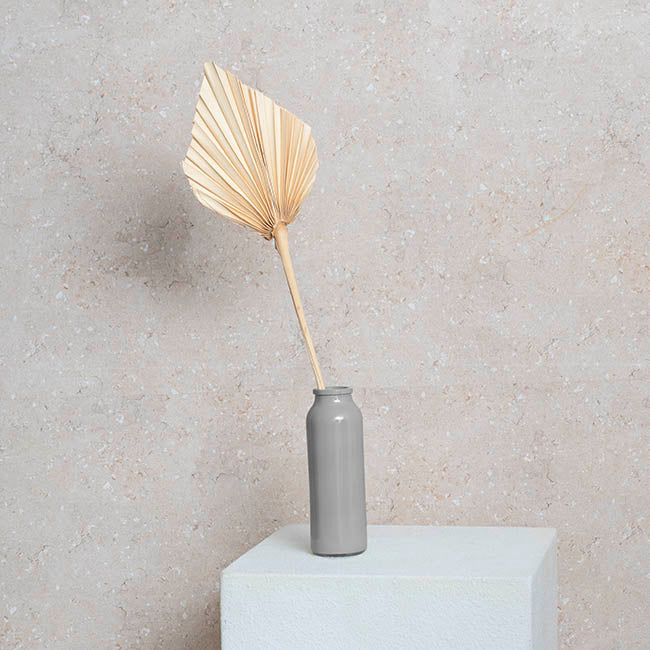 Preserved Dried Palm Spear Leaf Light Beige (45-50cmH)