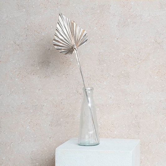 Preserved Dried Palm Spear Leaf Champagne (45-50cmH)