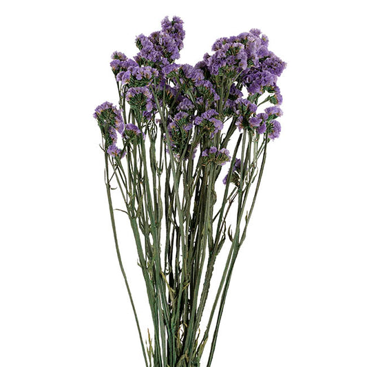 Preserved Dried Statice Sinuata Purple 120g (65cmH)