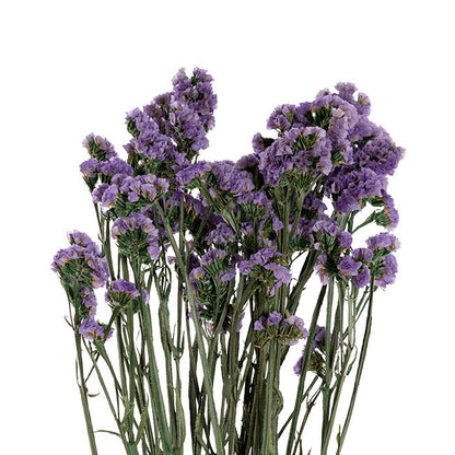 Preserved Dried Statice Sinuata Purple 120g (65cmH)