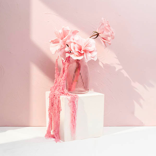 Preserved Dried Hanging Amaranthus 5 Stem Pink (60-100cmH)