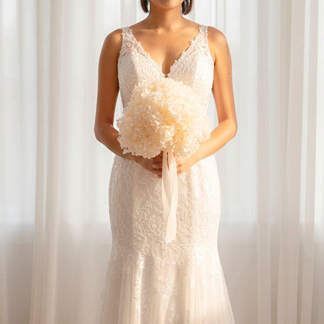 Preserved Dried Anna Hydrangea Stem Large Champagne (68cmH)