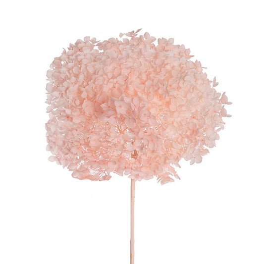 Preserved Dried Anna Hydrangea Stem Large Pale Pink (68cmH)