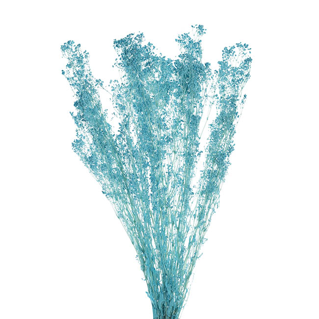 Preserved Dried Baby's Breath Bunch Soft Blue (57cmH)