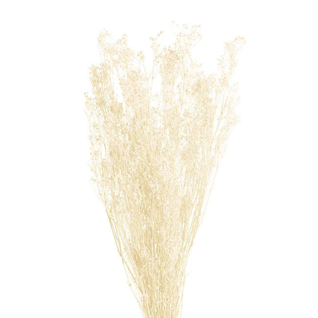 Preserved Dried Baby's Breath Bunch White (57cmH)