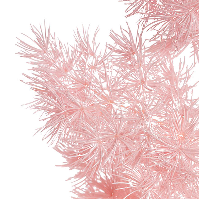 Preserved Dried Ming Fern Bunch 90g Soft Pink