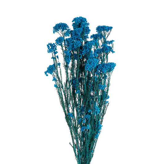Preserved Dried Rice Flower Bunch 70g Blue