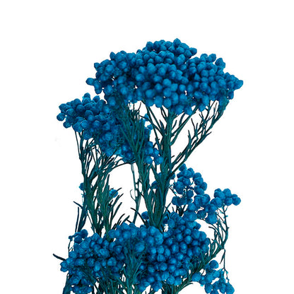 Preserved Dried Rice Flower Bunch 70g Blue