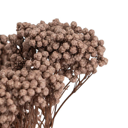 Preserved Dried Rice Flower Bunch 70g Soft Brown