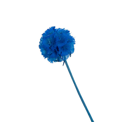 Preserved Dried Scabiosa x 10 Head Bunch Blue