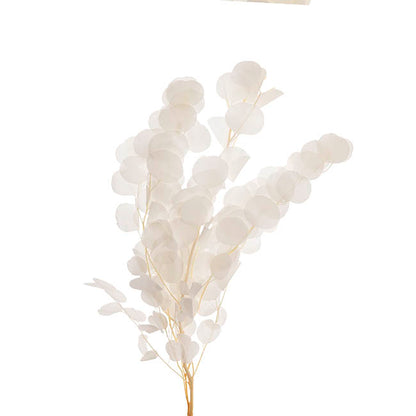 Preserved Dried Apple Leaf Honesty Bunch White