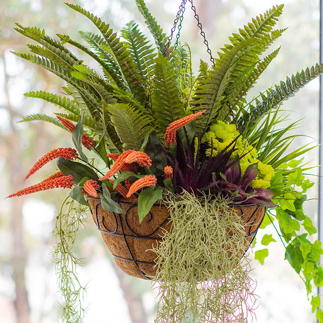 Metal Hanging Basket Scroll with Insert (40.5cm)