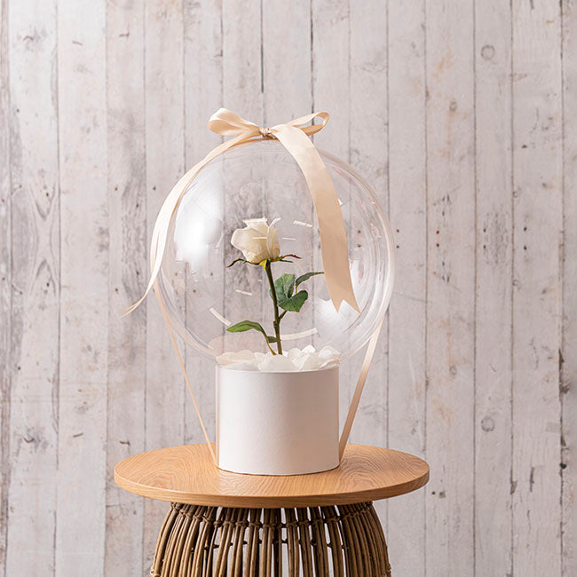 Bubble (Bobo) Balloon 22" Pack 5 Clear (56cmD)