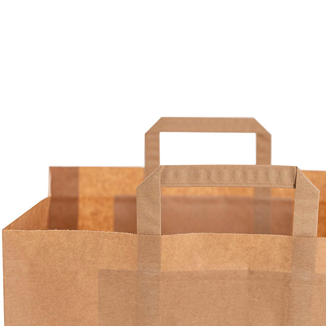 Brown Kraft Take Away Paper Bag Pack10 (320Wx215Gx245mmH)