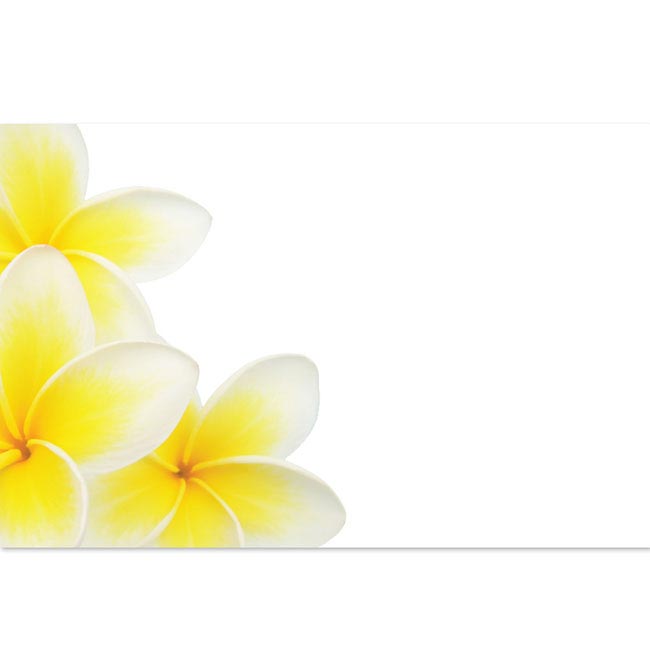 Cards Frangipani Cluster (10x6.5cmH) Pack 50