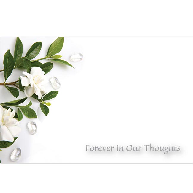 Cards Gardenia Forever In Our Thoughts(10x6.5cmH) Pack 50