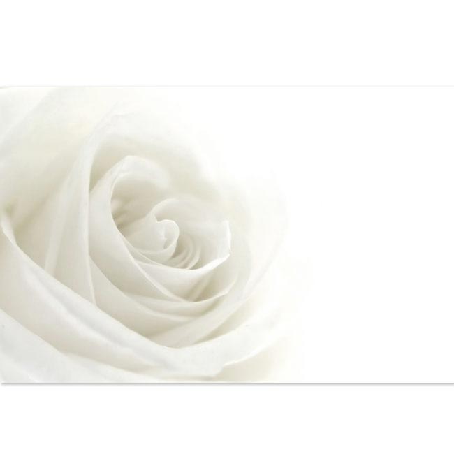 Cards Rose Open White (10x6.5cmH) Pack 50