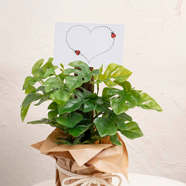 Cards White Dotted Heart with Lady Bugs (10x6.5cmH) Pack 50