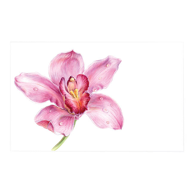 Cards White Pink Orchid Full Bloom (10x6.5cmH) Pack 50