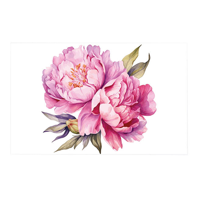 Cards White Cabbage Roses Pink (10x6.5cmH) Pack 50