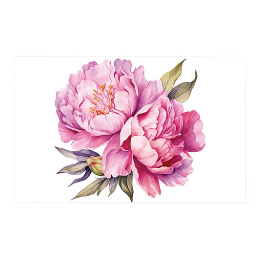 Cards White Cabbage Roses Pink (10x6.5cmH) Pack 50