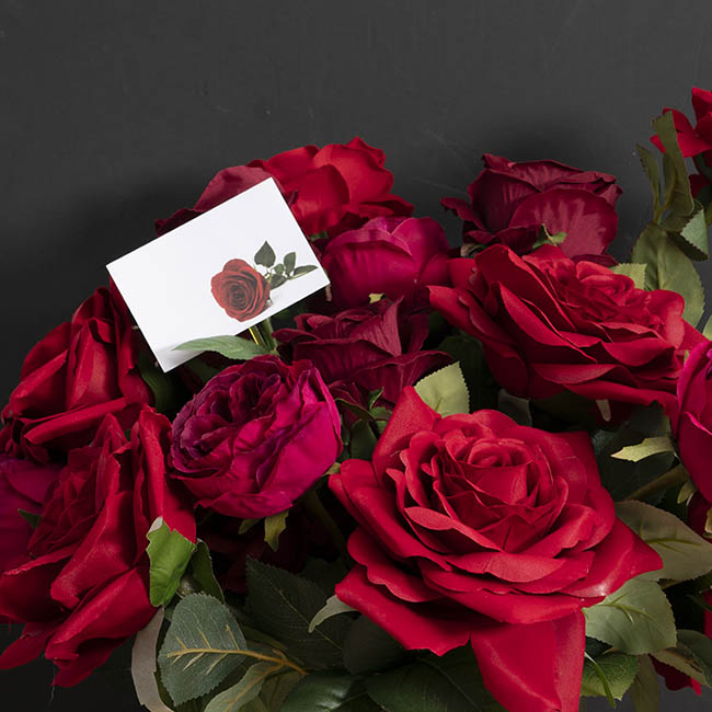 Cards White Red Rose Full Bloom (10x6.5cmH) Pack 50