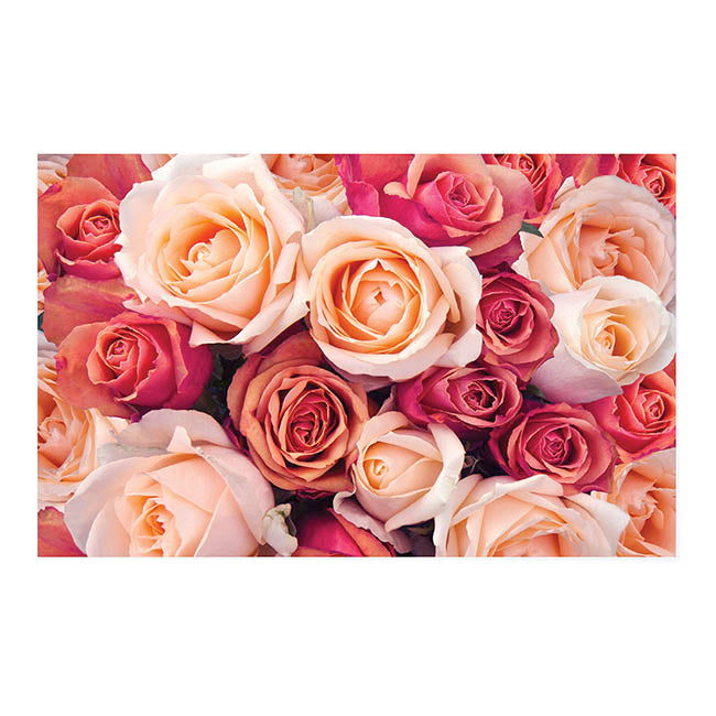 Cards White Roses Galore Pink & Peach (10x6.5cmH) Pack 50