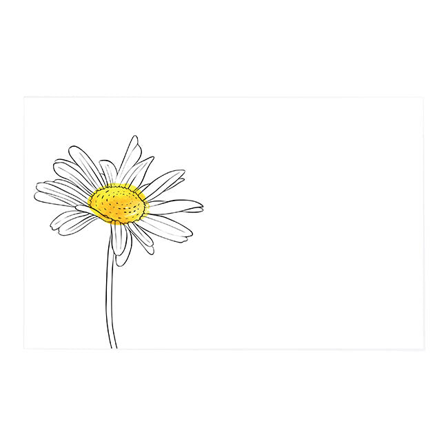 Cards White Hand Drawn Single Daisy (10x6.5cmH) Pack 50
