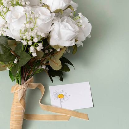 Cards White Hand Drawn Single Daisy (10x6.5cmH) Pack 50