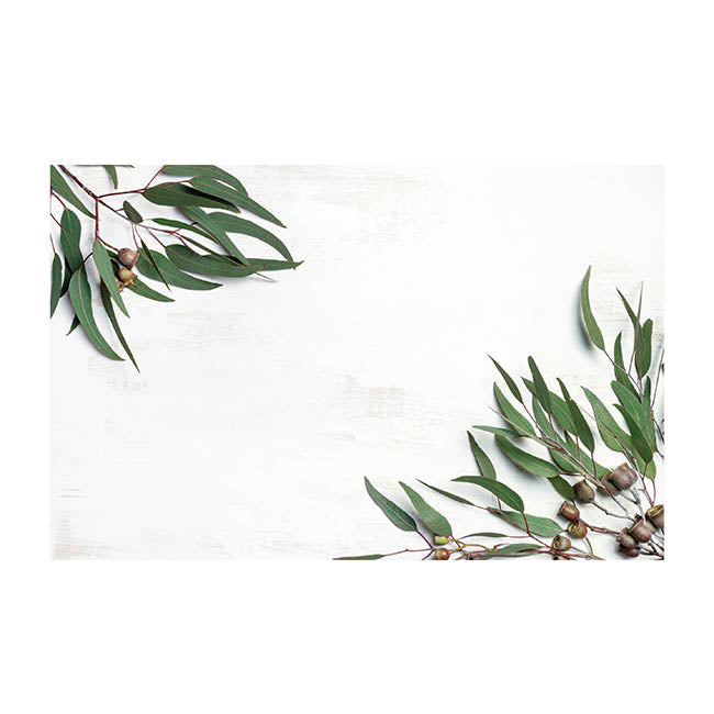 Cards White Native Gum Nuts & Leaves (10x6.5cmH) Pack 50
