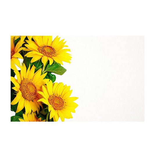 Cards White Sunflowers Yellow (10x6.5cmH) Pk 50
