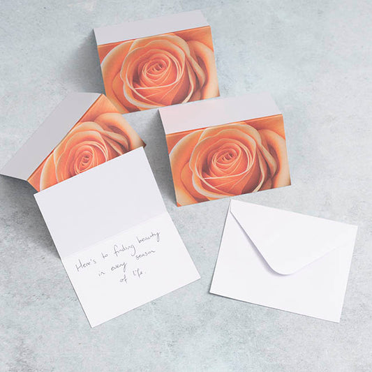 Gallery Gift Card & Envelope Apricot Rose Pk25 (10x6.5cmH)