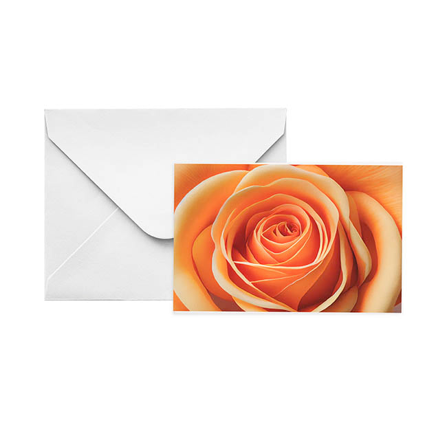 Gallery Gift Card & Envelope Apricot Rose Pk25 (10x6.5cmH)