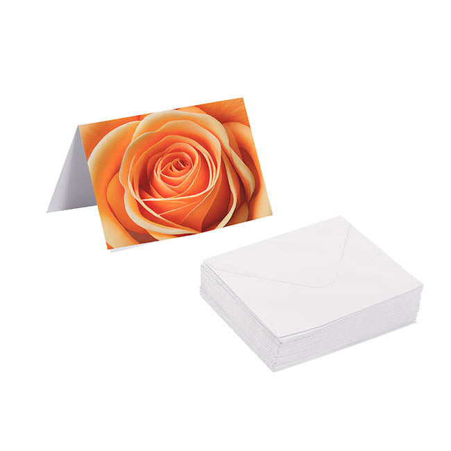Gallery Gift Card & Envelope Apricot Rose Pk25 (10x6.5cmH)