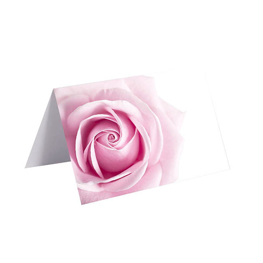 Gallery Gift Card & Envelope Pink Rose Pk25 (10x6.5cmH)