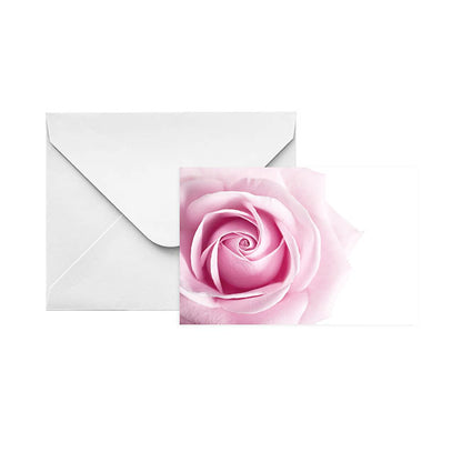 Gallery Gift Card & Envelope Pink Rose Pk25 (10x6.5cmH)