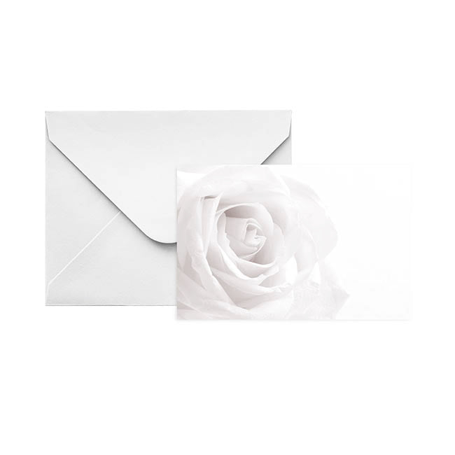 Gallery Gift Card & Envelope White Rose Pk25 (10x6.5cmH)