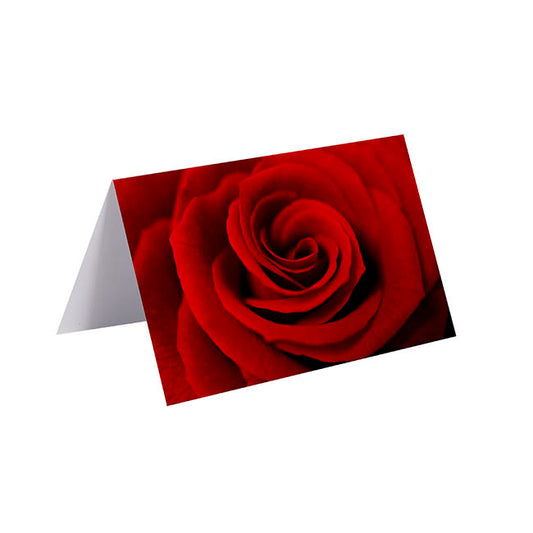 Gallery Gift Card & Envelope Full Red Rose Pk25 (10x6.5cmH)