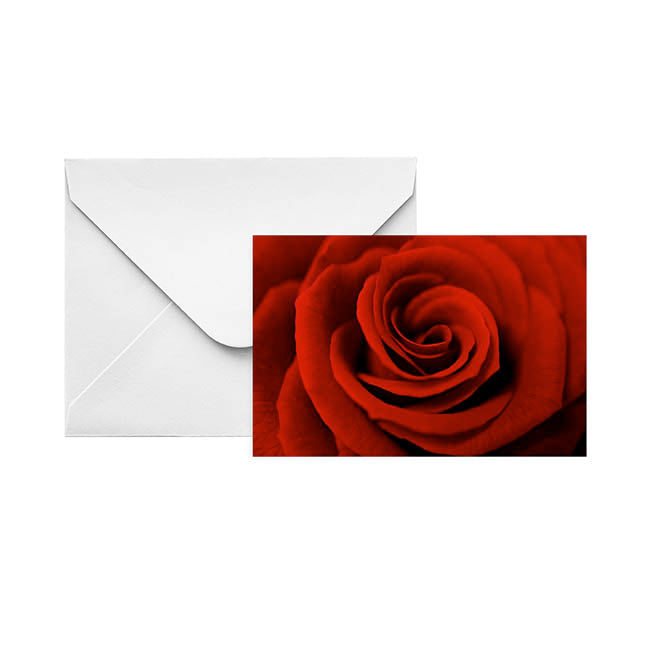 Gallery Gift Card & Envelope Full Red Rose Pk25 (10x6.5cmH)