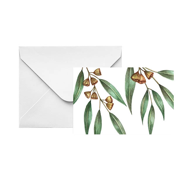 Gallery Gift Card & Envelope Gum Leaves Nuts Pk25(10x6.5cmH)