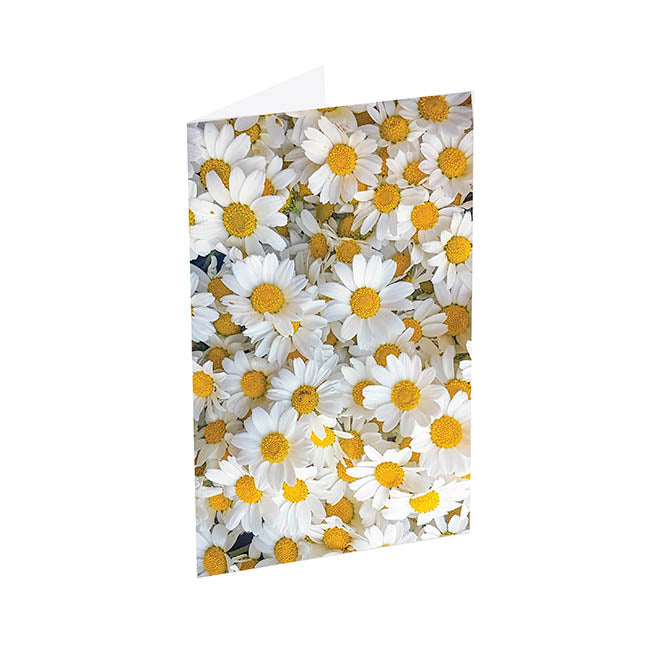 Classic Gift Card & Envelope Fresh Daisies Pk25 (6.5x10cmH)
