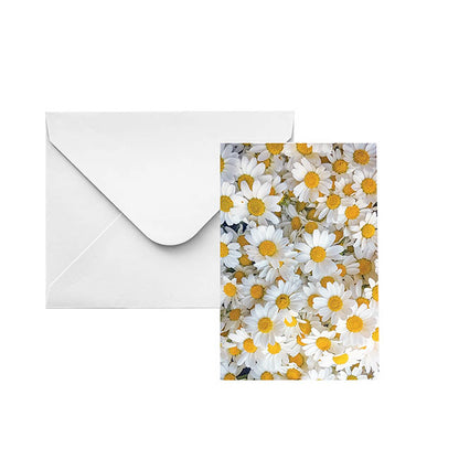 Classic Gift Card & Envelope Fresh Daisies Pk25 (6.5x10cmH)