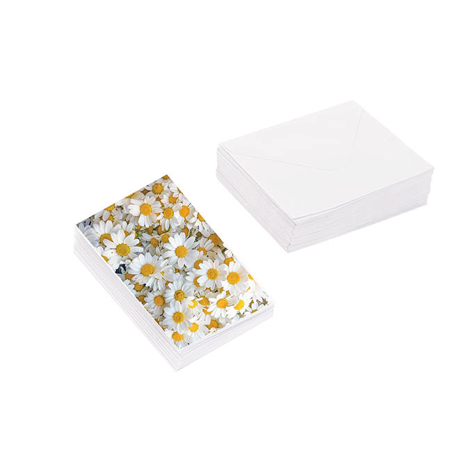 Classic Gift Card & Envelope Fresh Daisies Pk25 (6.5x10cmH)