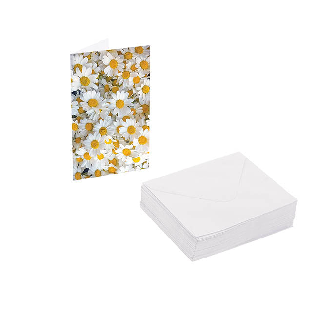 Classic Gift Card & Envelope Fresh Daisies Pk25 (6.5x10cmH)